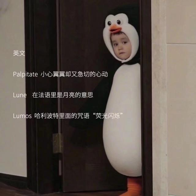 恸的另一半 情侣网名，心动恸微信昵称（今日份心动网名）