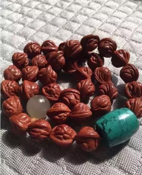 核桃树枝的药用功效与作用,核桃树枝都有哪些成分与功用(许多文玩人见过它却不认识它) 核桃树枝的药用功效与作用,核桃树枝都有哪些成分与功用(许多文玩人见过它却不认识它)