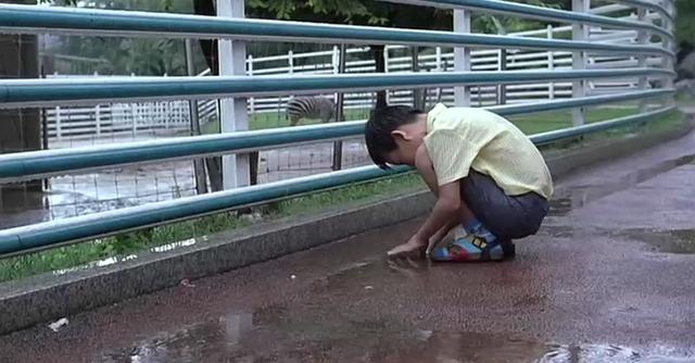 阿甘正传是真人真事吗，适合中学生看的励志电影（原来《阿甘正传》的故事）