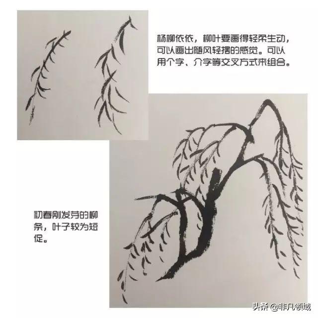 桃花简笔画怎么画，一学即会的步骤图（国画基础入门教程——燕子、柳树、桃花的画法）