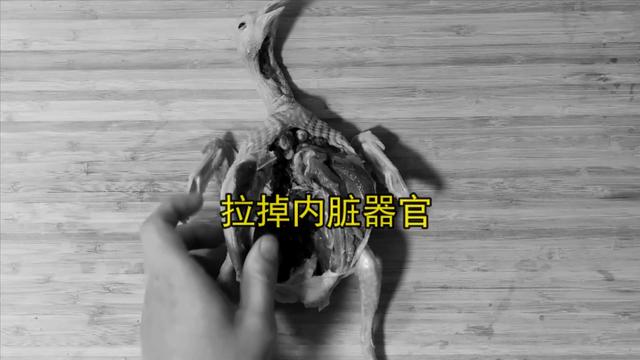 鸽子喜欢吃什么，家养的鸽子吃什么（23年一级大厨专业详细讲解）