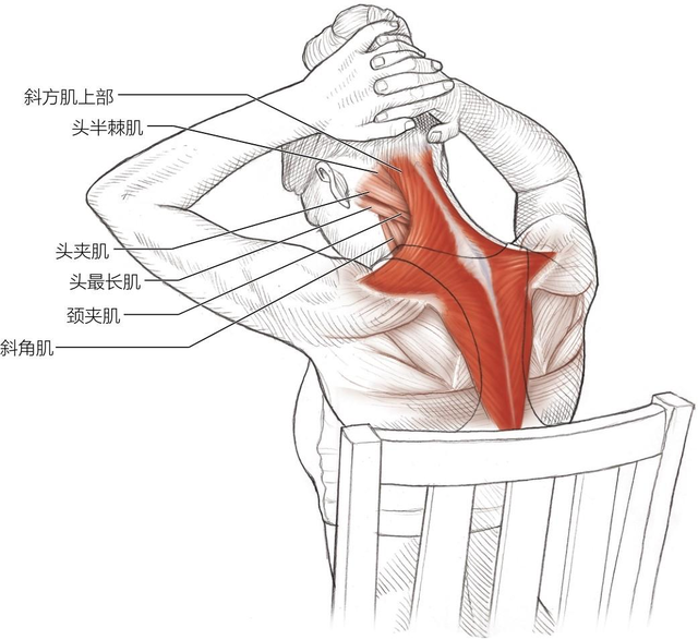 舞蹈动作里扭动脖子技巧，舞蹈动作里扭动脖子技巧视频（僵硬还不懂拉伸怪我了）