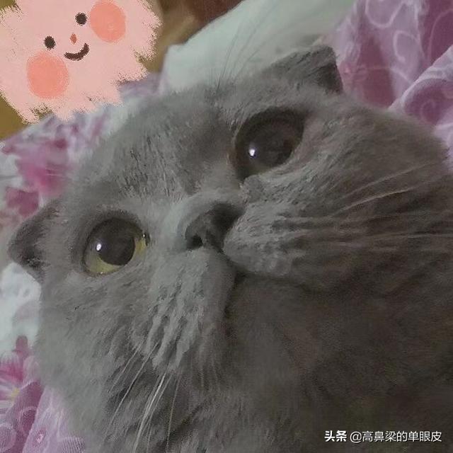 夫妻7年之痒的真实经历，00后情侣走过“七年之痒”有多难