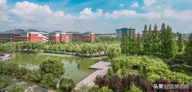 江苏师范大学是一本还是二本，徐州师范大学是一本还是二本（在河南的录取分、位次出炉）