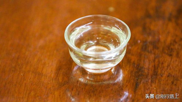 海南苦丁茶是什么茶，海南苦丁茶的功效与作用价格（当地老百姓生活中“物什”）