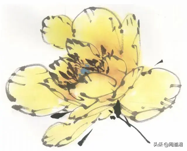 牡丹花头的画法对照表，写意牡丹花头的各种画法