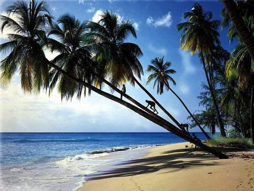 你们老公.，微信头像，你们老公.（看他们内心深处的心理奥秘）