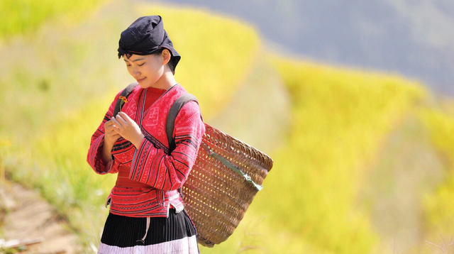 莫瑶 有点可爱绿色系的哦,莫瑶宋瑾辰抖音(世界梯田之冠-龙脊梯田图片