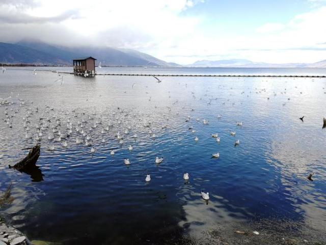 大理古城到洱海有多远，大理环洱海自驾要多久（大理环洱海游应该这样玩）