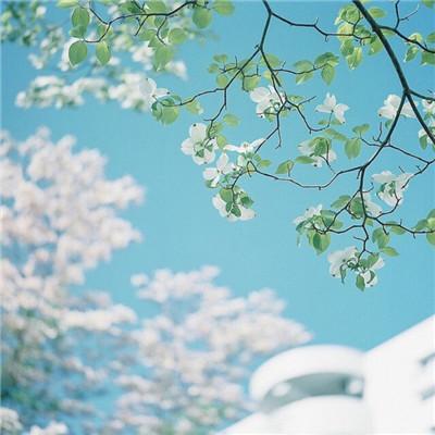 天空图片大全 唯美意境，天空/意境/背景图/ins风 ins风天空背景图（微信风景唯美天空高清无水印头像）