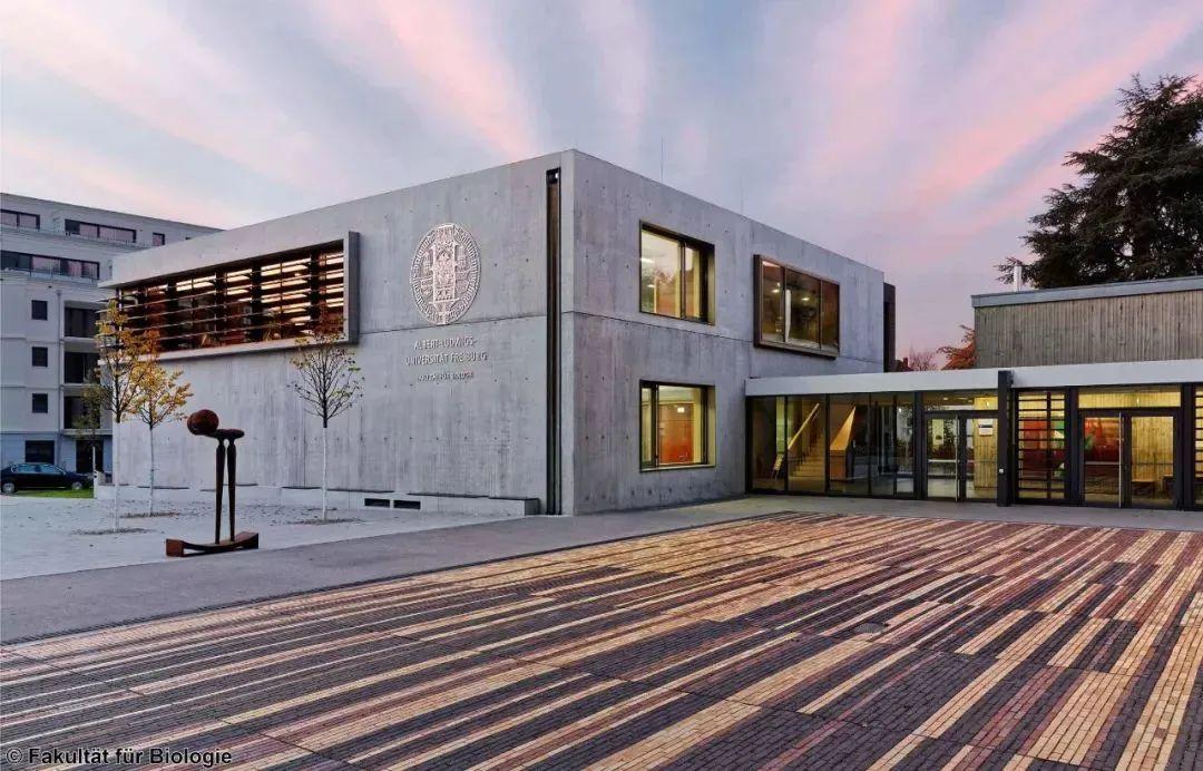 马尔堡大学(马尔堡大学在哪里)