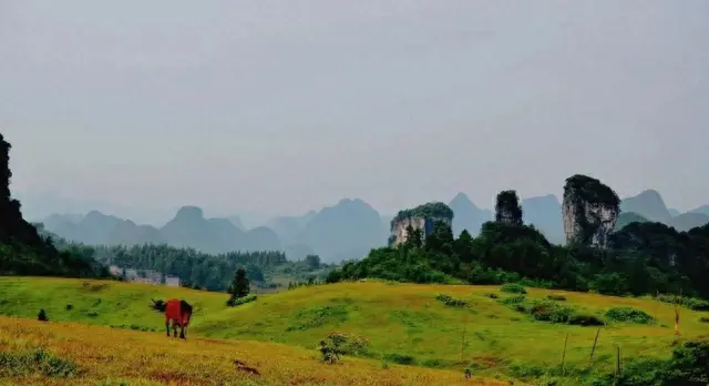 广西罗城仫佬山乡里发现草甸、云海、星空，太美丽了你来过吗？