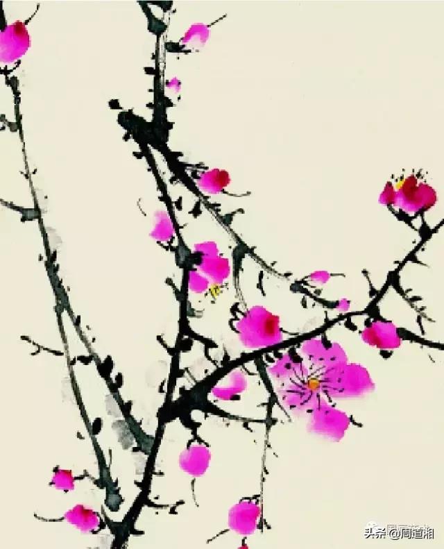 梅花13怎么手绘画，教梅花13怎么画（国画入门教程——梅花的画法）