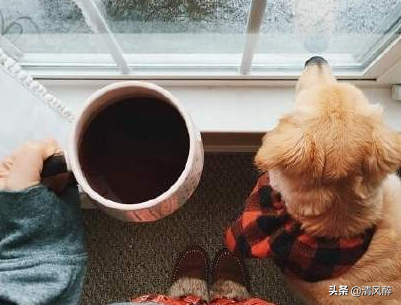 适合发快手的句子，适合发快手的句子温柔（快手搞笑有趣句子说说）