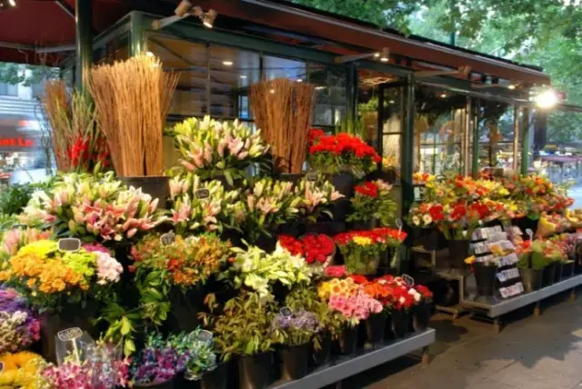 鲜花店怎么开(工艺鲜花店怎么开)