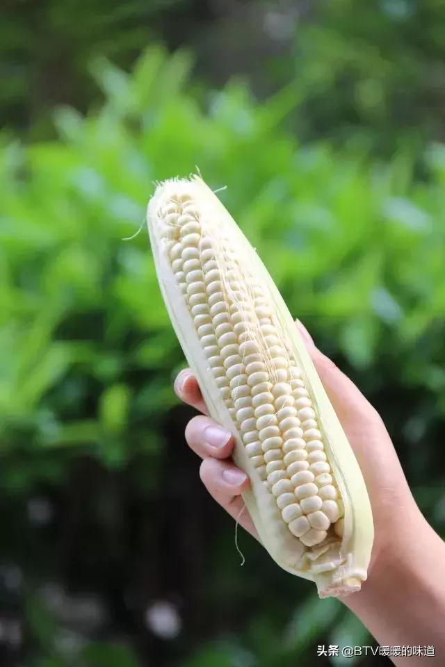 甜玉米可以生吃吗，甜玉米怎么做（吃一口甜到你心里）