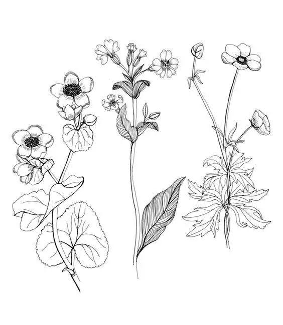 简单的花怎么画，如何画小花花简笔画（一朵花，简单的几笔就可以了）