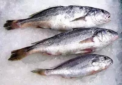 请问清炸小扒皮鱼的做法，炸小剥皮鱼的做法大全（今后再也不怕不认识海鲜了）