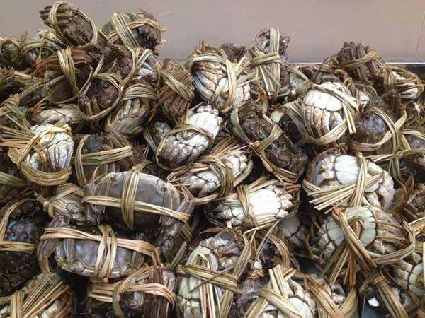 死螃蟹为什么不能吃，螃蟹哪些地方能吃（为什么死螃蟹不能吃）