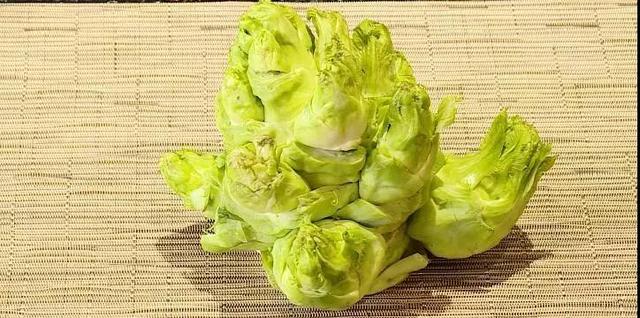 儿菜的功效与作用，儿菜有什么样的功效与作用（炒、烩、炸、涮、凉拌样样行）