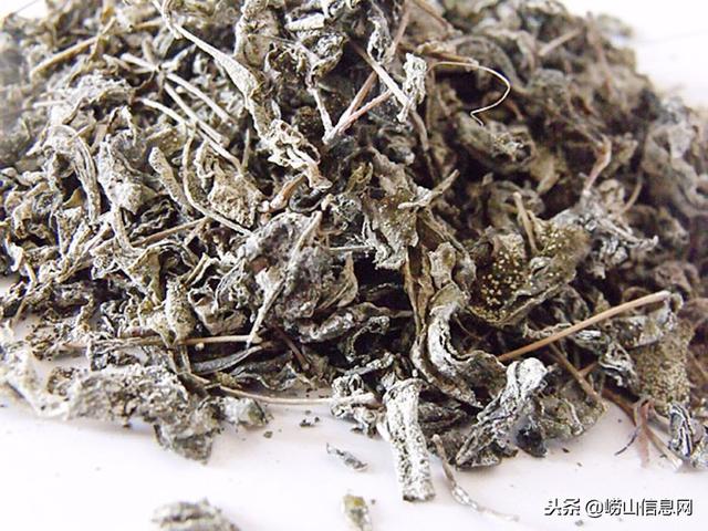 甘露茶的功效与作用,甘露茶叶多少钱一斤(崂山甘露茶)