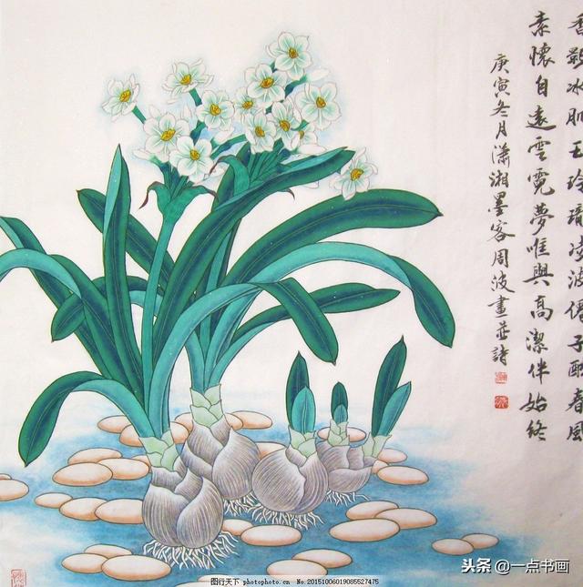 水仙花的寓意和象征，水仙花的寓意和象征风水（中国十大名花之冰波仙子——水仙）