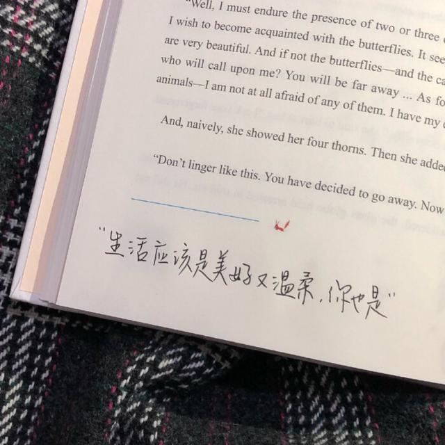 未来可期的图片，唯美天空背景图／未来可期.，微信头像（最后的等待叫“未来可期”）