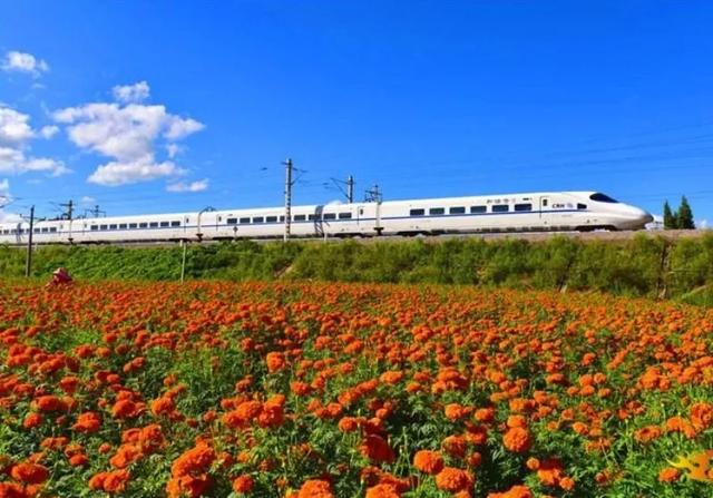 大理到丽江怎么走,大理怎么去丽江(“昆楚大丽”十一怎么玩?看这) 大理到丽江怎么走,大理怎么去丽江(“昆楚大丽”十一怎么玩?看这)