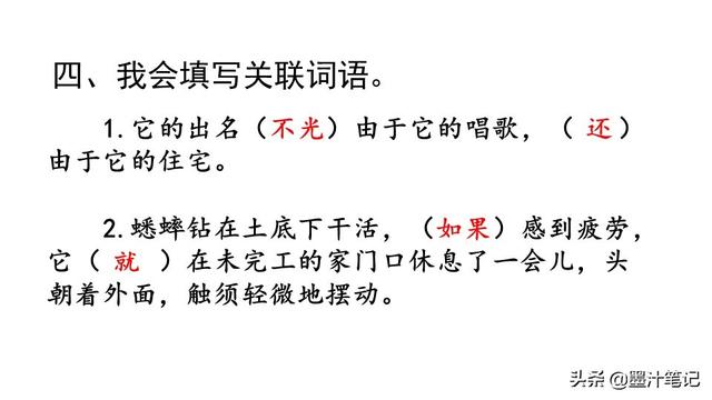 蟋蟀的住宅指的是什么，蟋蟀的住宅 是指什么（第三单元《蟋蟀的住宅》课文讲析）