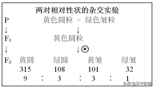 仙剑奇侠传1秘籍，仙剑奇侠传1攻略秘籍（遗传定律知识点）