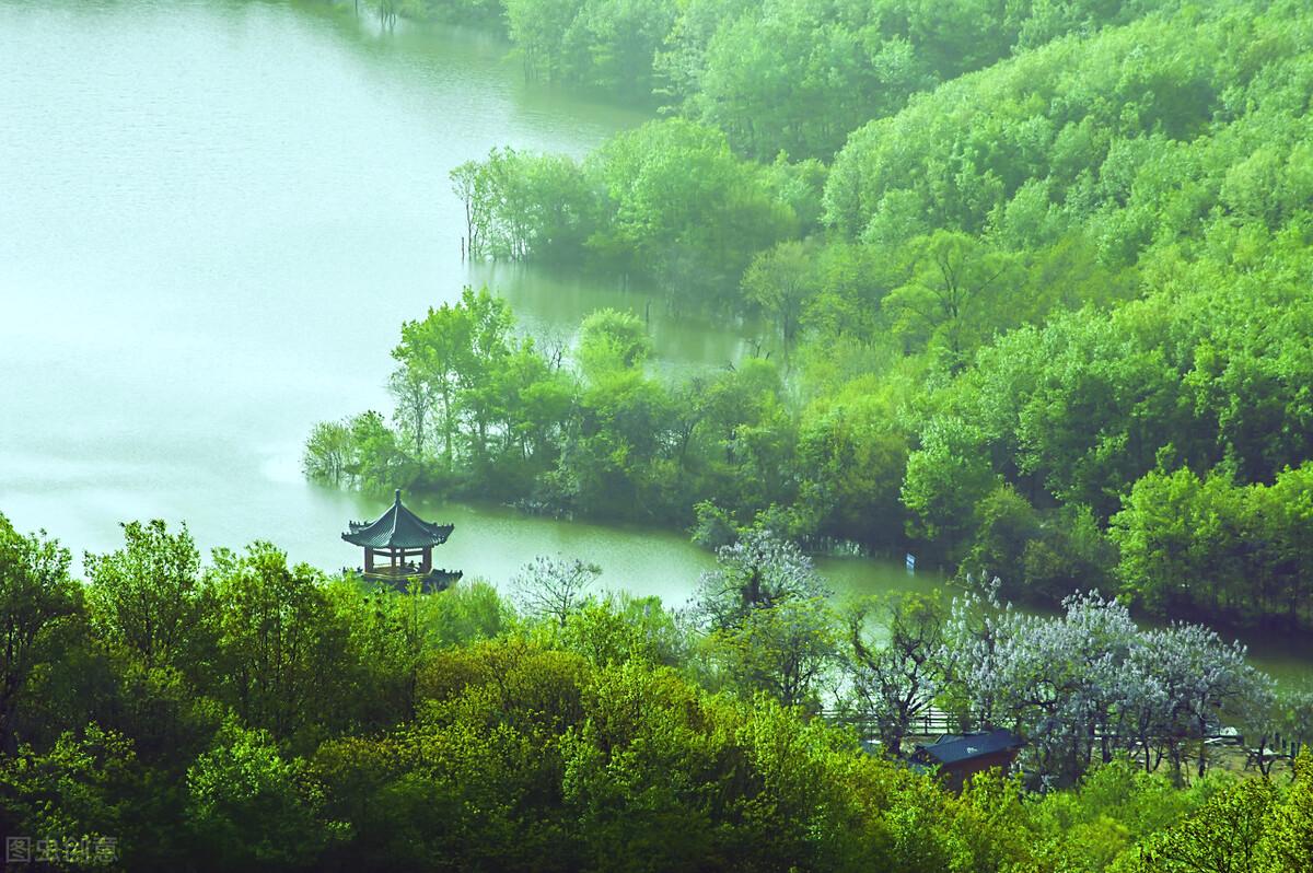 婆婆生日买啥礼物比较好，婆婆过生日应该送什么礼物（婆婆过生日，儿媳妇们送过啥）