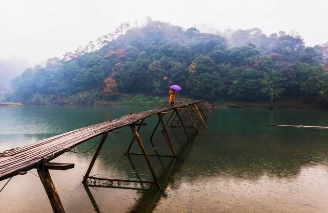 雨诗歌，凄风苦雨诗歌（20首微雨诗词）