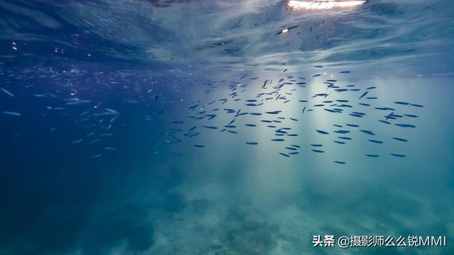 梦幻天堂游戏手机版下载，梦幻天堂经营手游官网最新版下载安装安卓版appv45.0.2（我才明白什么叫做梦幻天堂）