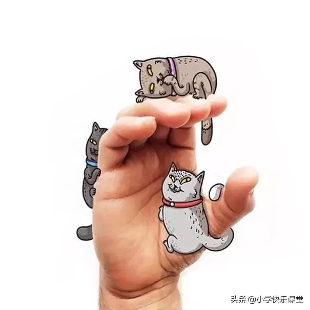  豹子用英语怎么说，豹子英语是什么（小学26个英文字母的有趣手势法） 
