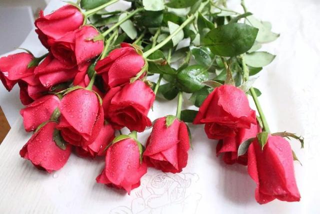 国花是什么，世界各国国花<第一辑>（俄罗斯的国花是什么）