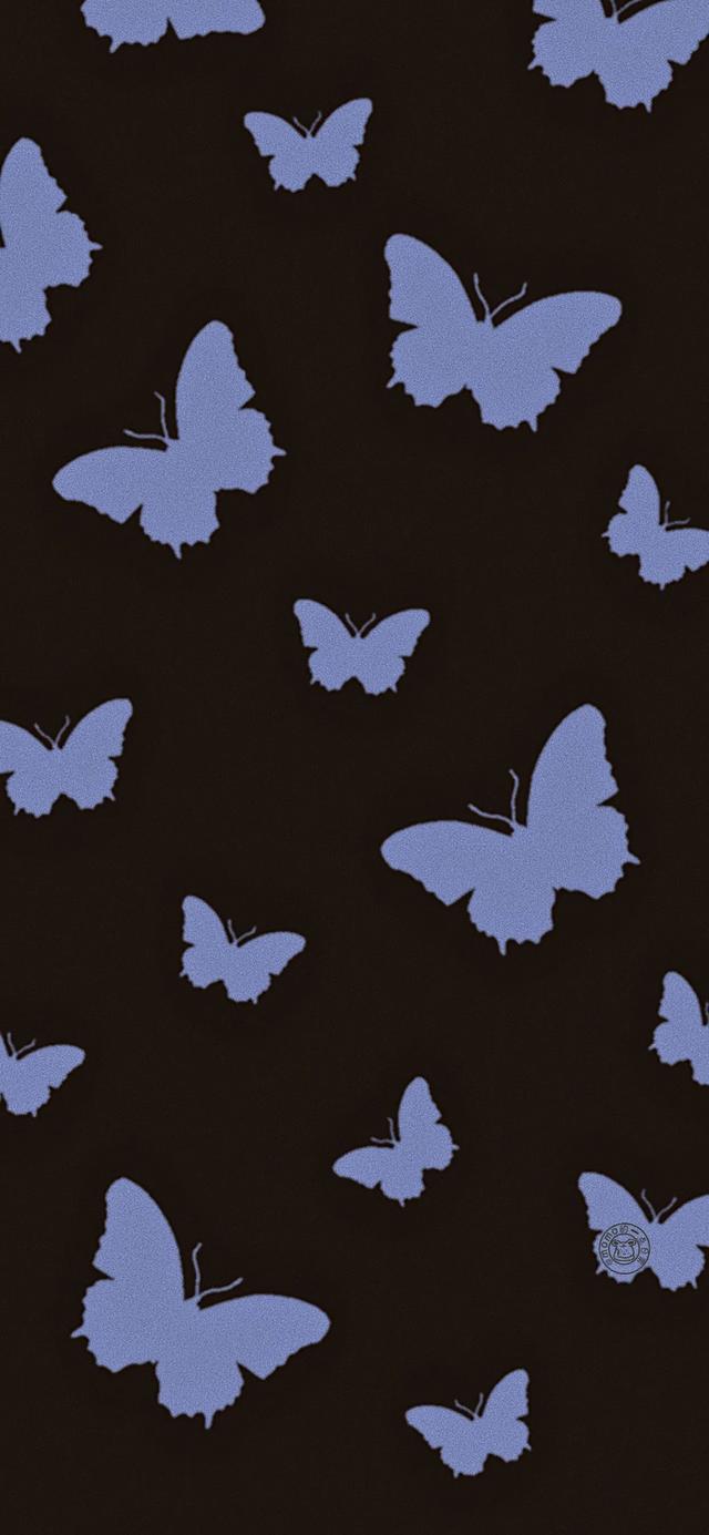 唯美有蝴蝶，微信头像，唯美有蝴蝶（超级惊艳靓丽的蝴蝶来了第二波）