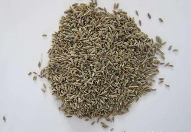 薄荷香料的做法大全，带你认识40款香料及各种底料炖料配方