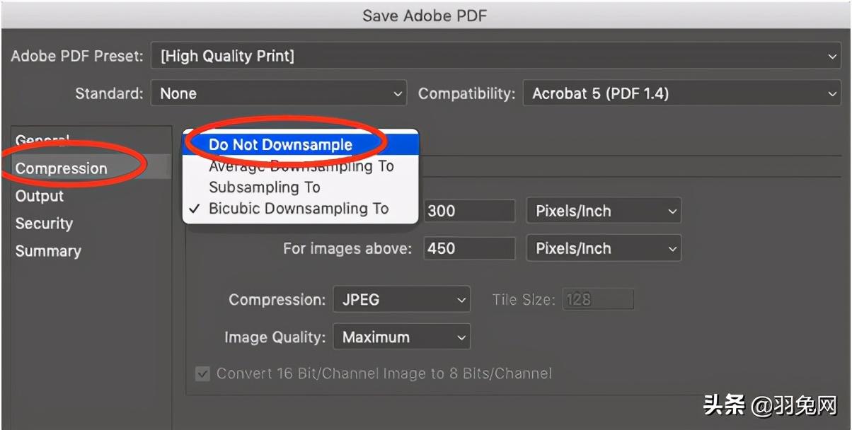pdf矢量图是什么意思（pdf图片是矢量图吗）