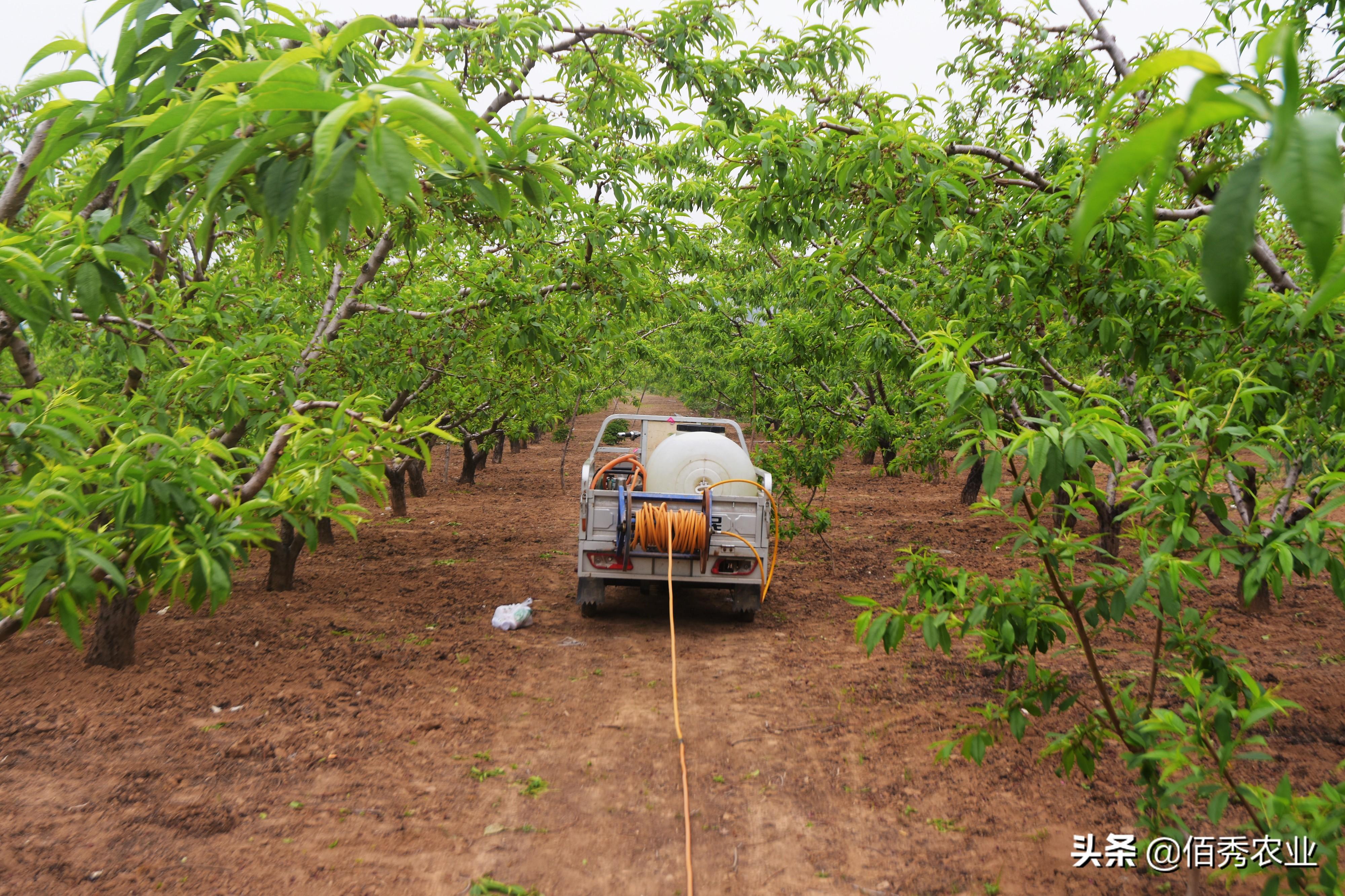 如何合理使用除草剂