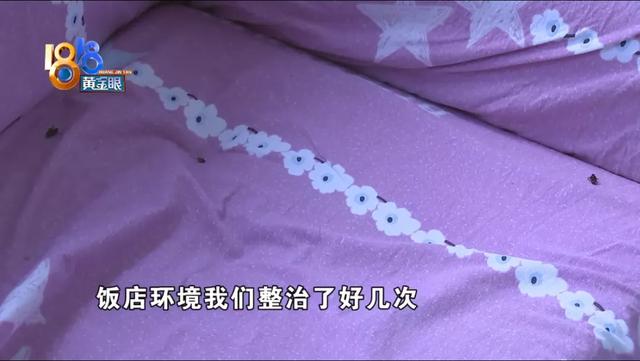 家里很干净为什么有苍蝇，家里经常有苍蝇（“外环境”需要改善）