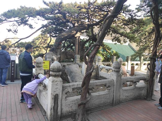 戒台寺与潭柘寺区别，戒台寺与潭柘寺区别是什么（戒台寺一日游）