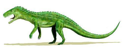 引鳄（尹恩惠），第一批食肉恐龙的祖先是谁（引鳄科）