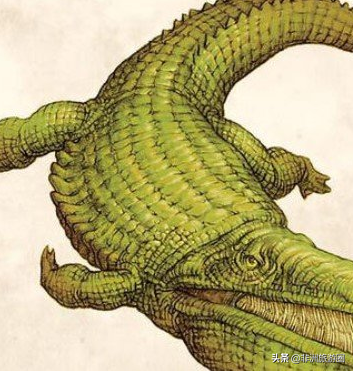 世界上最大的鳄鱼，世界上最大的鳄鱼是什么（最长13米—屋子都装不下）