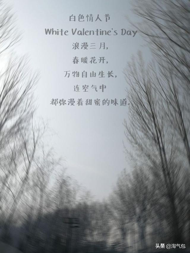 12个月都有什么情人节，二月没过情人节的今天补上