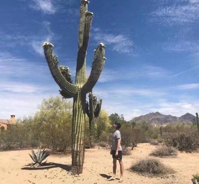 我会永远陪着你，我会永远陪着你一起品尝生活的滋味，微信头像（但好在一直都有你陪着我）