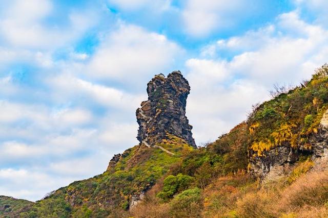 梵净山在哪里呢，梵净山在哪里个省哪个市（北半球最古老的生态乐园）