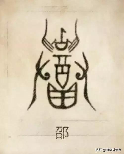 一个草字头一个吕，草字头加吕什么字（中国100大姓氏起源、图腾）