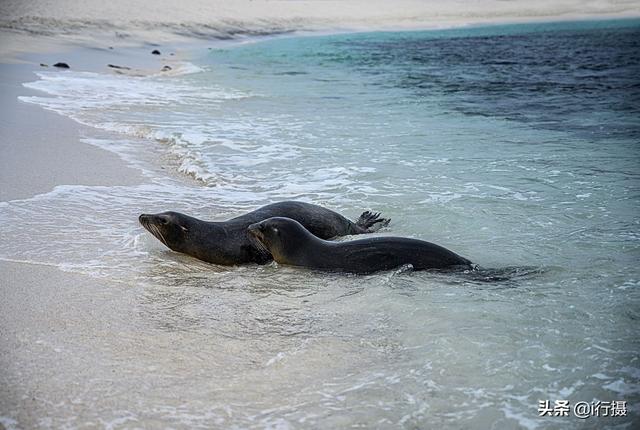 厄瓜多尔在哪里，厄尔多瓜具体在哪里（走进厄瓜多尔——世界上唯一以“赤道”命名的国家）
