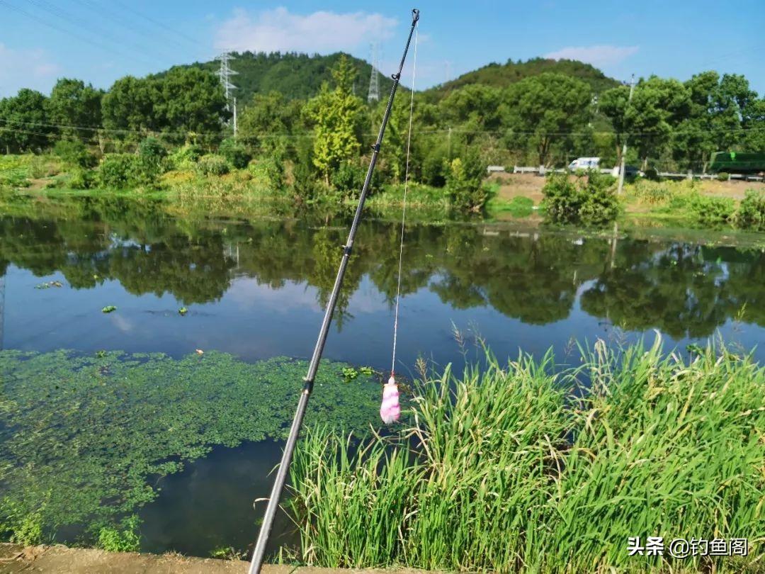 雷强黑鱼实战揭秘：探鱼器高清记录频繁脱钩原因分析与应对技巧