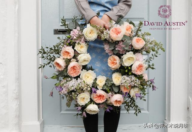 月季花一般都几月份开，月季花一般都几月份开花（怎么才能让月季开更多花呢）